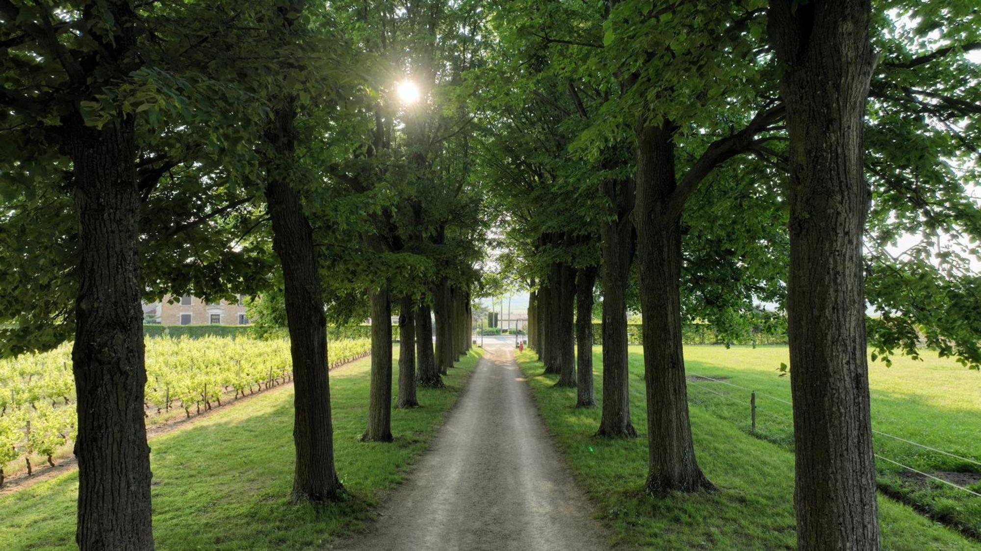 Domaine De Montclair Bed & Breakfast Pommiers  Luaran gambar